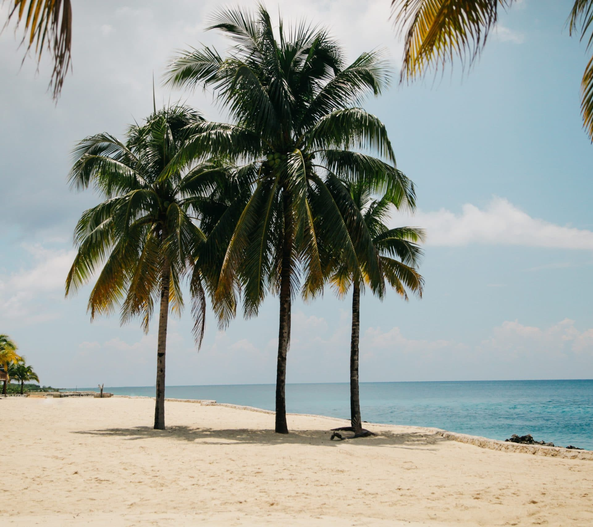 Bahamas beach